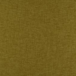 Lido 23 Olive 